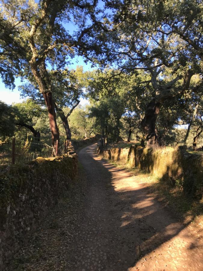 הינוחארס Casa Rural Sierra Tortola 1 מראה חיצוני תמונה
